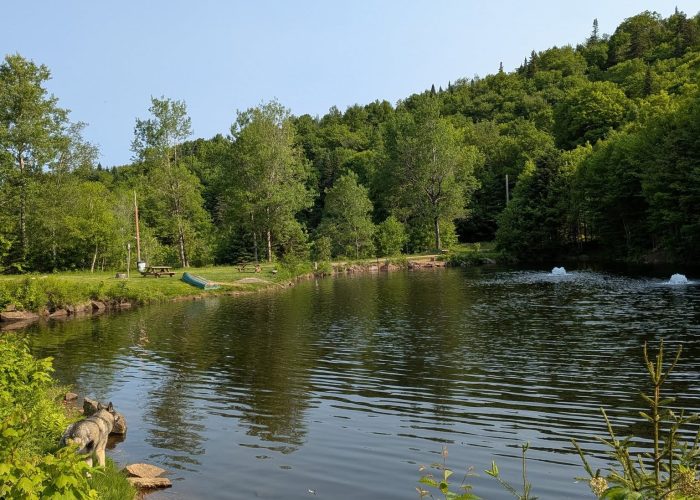 505229314_1313960394066963_8059644131638592046_n